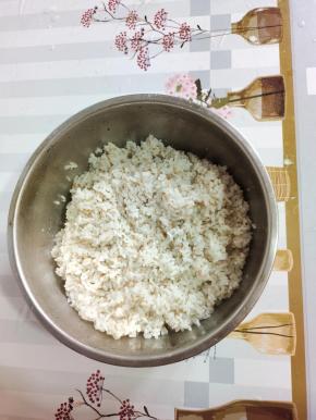 东北大米500克淘洗干净沥干水分，放入600克水，1克盐，2克食用油搅拌均匀，按煮饭键煮熟再焖5分钟！煮好的米饭倒入盆中打散，放入适量的熟油，香油和熟白芝麻翻拌均匀，备用！