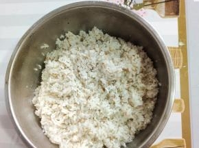 东北大米500克淘洗干净沥干水分，放入600克水，1克盐，2克食用油搅拌均匀，按煮饭键煮熟再焖5分钟！煮好的米饭倒入盆中打散，放入适量的熟油，香油和熟白芝麻翻拌均匀，备用！