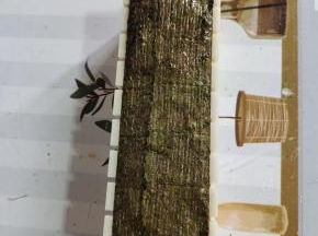 把海苔对折过来，按压一下，让它们黏住！如果不容易黏住可以刷一点沙拉酱或者放一些米饭！