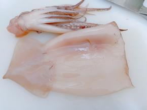 鱿鱼一条去除内脏撕去外皮