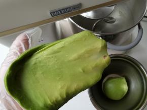 2档打到黄油与面团混合，转4-5档搅打至薄膜状态。打好的面团取出折叠收圆，取一小块检查，扯开较为结实的半透明膜即可。