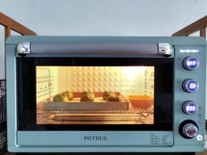 放入烤箱，发酵档位，温度33度，湿度75%左右，发酵至2倍大，35分钟左右。