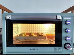 放入烤箱，发酵档位，温度33度，湿度75%左右，发酵至2倍大，35分钟左右。