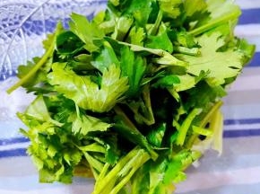 香菜去根洗净切成大小均匀的小段