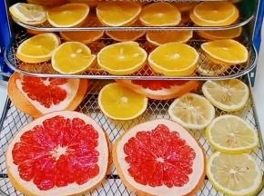 烤网放回果干机。