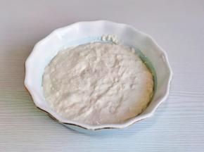 波兰种：食材混合无干粉，密封好入冰箱冷藏发酵8-10小时。（波兰种大家看好时间，一定要提前发酵）