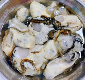 鲜活的牡蛎刚刚括好非常肥美