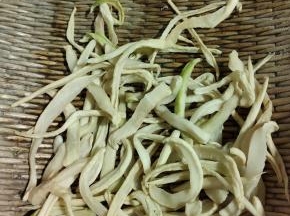 晒至六七成干就可以了！不要晒的太干，咬不动！