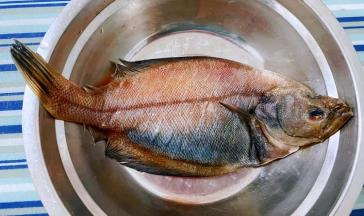 新鲜的偏口鱼去腮和内脏清洗干净沥干水分