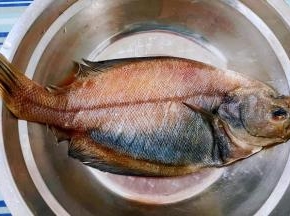 新鲜的偏口鱼去腮和内脏清洗干净沥干水分