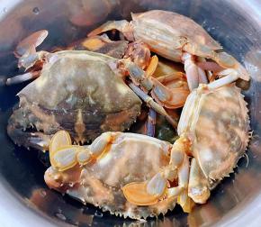 螃蟹用小刷子刷洗干净沥干水分