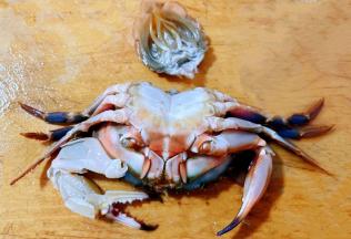 先将螃蟹的尾部腮取下再将螃蟹一切为二处理里面的杂质