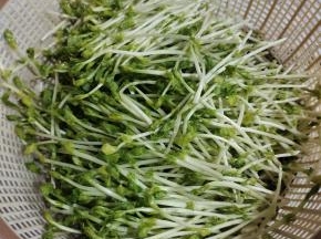 豆苗清洗干净沥干水分备用！