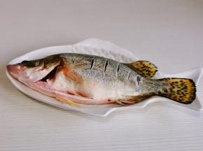 桂鱼洗净擦干水分，两面鱼身各划几刀。