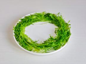 苦菊摆盘，围绕盘子一圈。