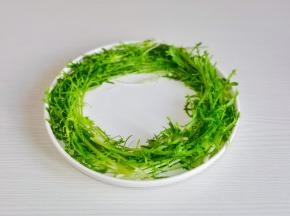 苦菊摆盘，围绕盘子一圈。