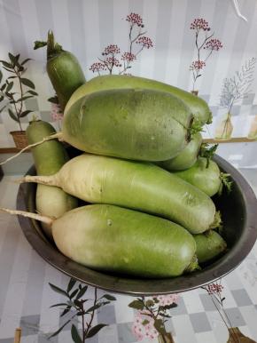 青头萝卜清洗干净，晾干水分！