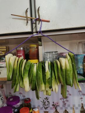 腌制好的萝卜条挂在衣架上！（这种方法特别适合住楼房，没地方晾晒的人家！可以节约很多空间！）