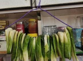 腌制好的萝卜条挂在衣架上！（这种方法特别适合住楼房，没地方晾晒的人家！可以节约很多空间！）