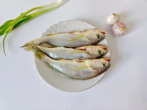 准备新鲜的小梅鱼三条。