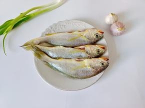 准备新鲜的小梅鱼三条。