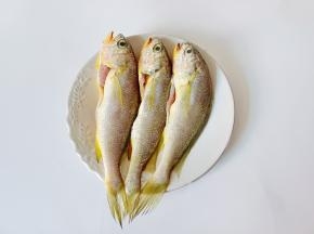 清洗好的鱼擦干表面水分。