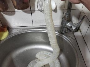 猪肠衣洗掉里面的盐分，再对着水龙头清洗干净！