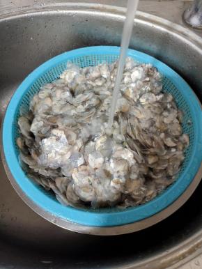 鱼鳞放在水龙头下冲洗几遍，把上面的血水清洗干净！