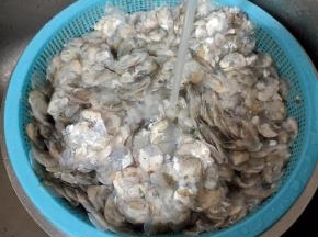 鱼鳞放在水龙头下冲洗几遍，把上面的血水清洗干净！