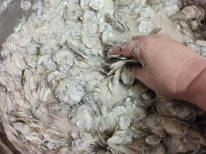 直接用手抓拌，这样抓拌一会儿，效果特别明显，鱼鳞没有了刚才黏糊糊的感觉，最重要的是这样做，还能去除鱼腥味儿！