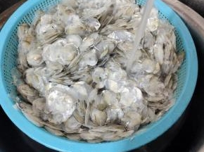 再用清水把鱼鳞多清洗几遍！