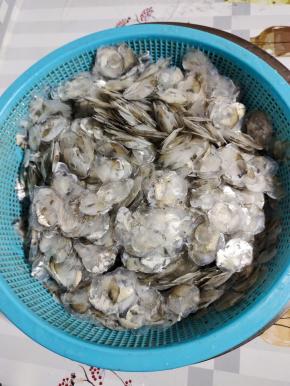 清洗干净沥干水分备用！