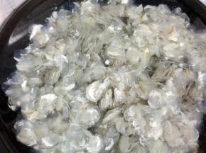 加入适量的水！（鱼鳞和水的比例是1:3）