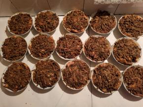 铺上一层干豆角，按压紧实！