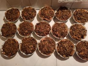 铺上一层干豆角，按压紧实！