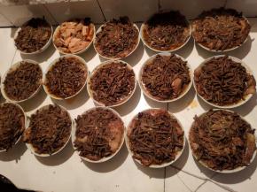 蒸好的扣肉，看起来还不错哦，好香啊！晾凉凝固后，放在冰箱冷冻保存！吃的时候提前取出来，上蒸屉蒸热或者微波炉加热即可，非常的方便！（如果近期就要吃就不用放冰箱冷冻保存，直接冷藏保存也可以！冷藏保存10天左右是完全没问题的！）