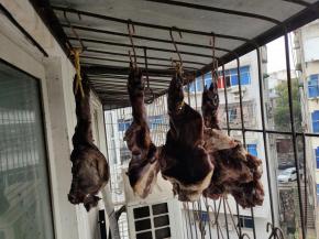 挂在阳台上通风处晾晒20天左右即可收起来！（有条件的收进冰箱冷冻保存。没条件的直接挂在阳台上也没事，不过要尽快吃完啊，挂的时间久了，腊肉太浓！个人不喜欢！）