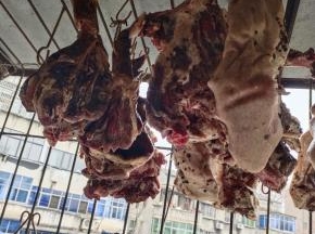 挂在阳台上通风处晾晒20天左右，用保鲜膜包好或者抽真空包装，收进冰箱冷冻保存！吃的时候提前拿出来解冻，泡软，煮熟，就可以炒着吃了，特别香！