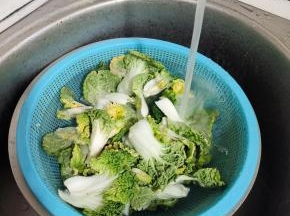 青菜清洗干净沥干水分备用！