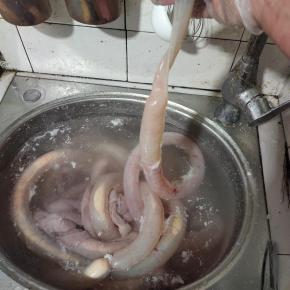 把小肠上面的粘液清洗干净。再把小肠套在水龙头上，冲洗干净！（猪小肠太长，可以剪成几段。这样方便清洗！）