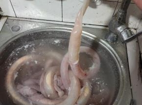 把小肠上面的粘液清洗干净。再把小肠套在水龙头上，冲洗干净！（猪小肠太长，可以剪成几段。这样方便清洗！）