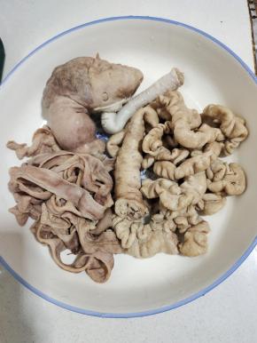 捞出晾凉，就可以把猪大肠拿来做火锅，红烧，猪肚炖汤，猪小肠红烧或者爆炒了！随你喜欢！