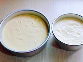 倒入模具中，震出气泡，入预热好的烤箱下层，上下130度烤55分钟。（烤箱温度及时间仅供参考）