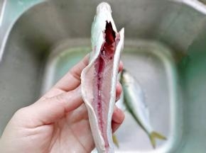 用剪刀从鱼肚剪开，去除内脏，鱼两边的黑膜一定要处理干净。