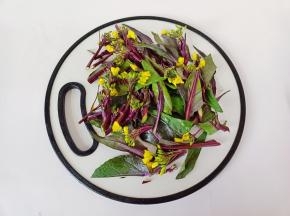 叶片可以一切为二。