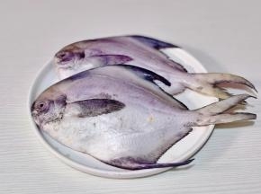 冰鲜鲳鱼两天。