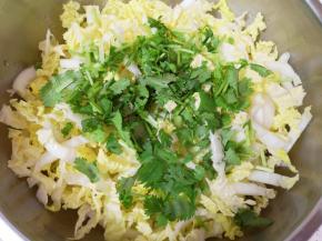 控干水分的娃娃菜放入盆里，加入香菜。 