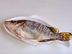 桂鱼洗干净，身上划几刀。