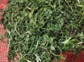 晾晒至香菜变蔫了，没有水份了就可以了！（我放在我家阳台上晾晒了两天！）