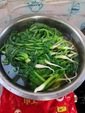 捞出放在无油无水的大盆中！再把烫萝卜缨的水倒进来！